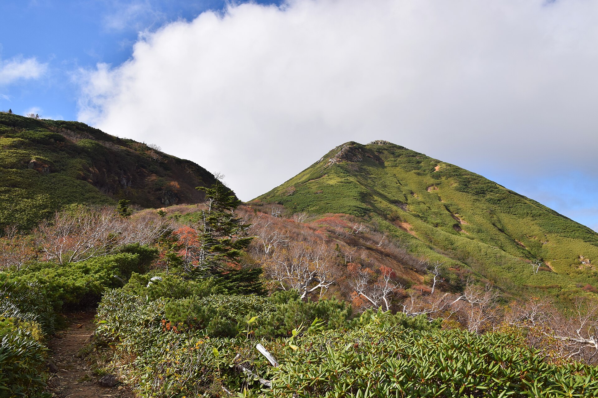 稜線に続く登山道と、色づき始めた斜面