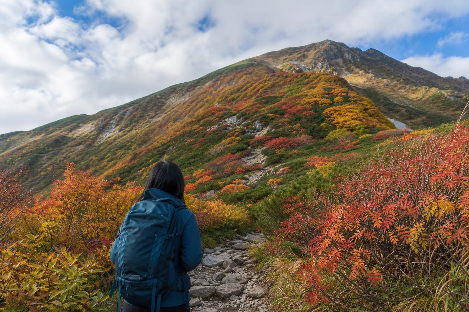 赤や黄色に色づいた山の斜面と、登山道の手前に立つハイカーの後ろ姿